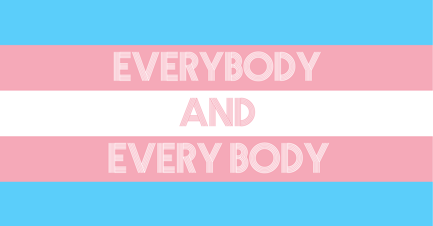 The trans flag with horizontal light blue pink and white stripes featured in an article on transgender bra fittings in melbourne