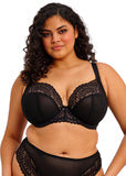 Black lace tiernie plunge bra with supportive structured design for comfortable everyday wear