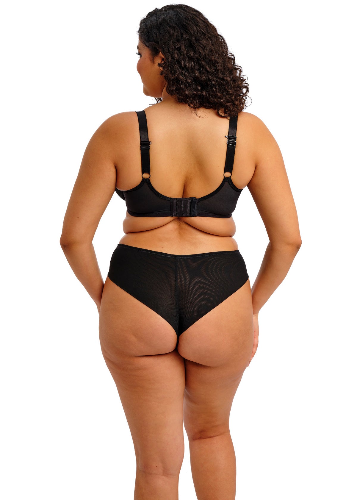 Reja Brazilian Brief