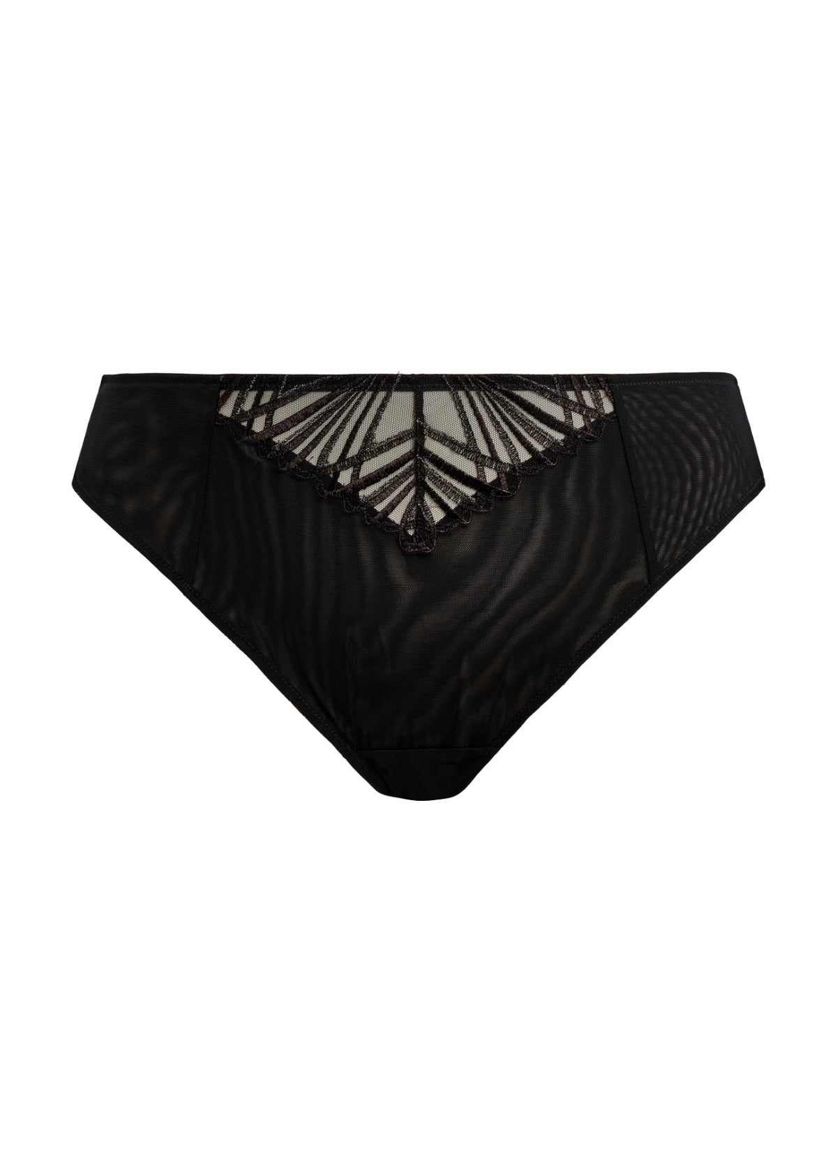 Reja Brazilian Brief