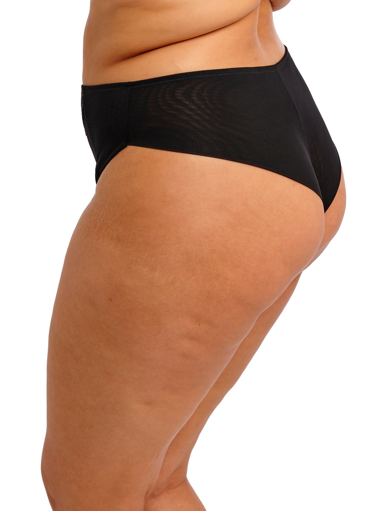 Reja Brazilian Brief