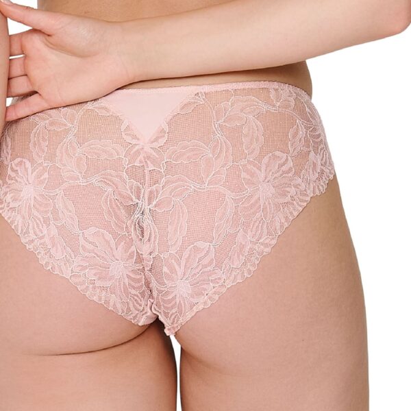 Powder Lace Briefs