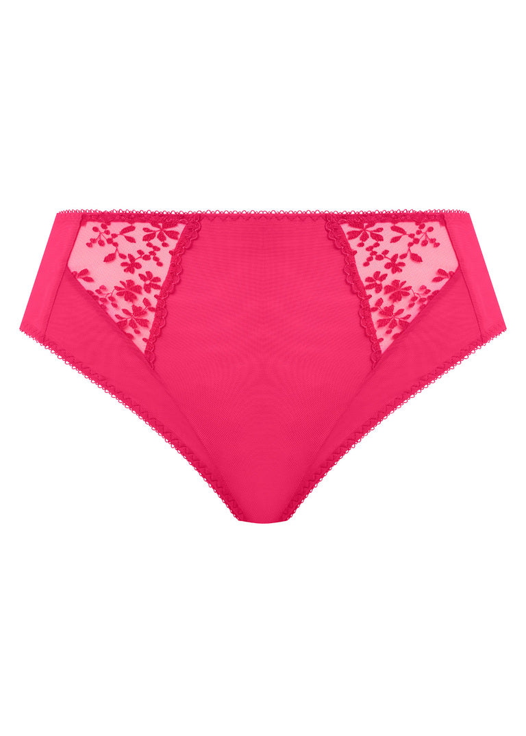 Zarla High Leg Brief