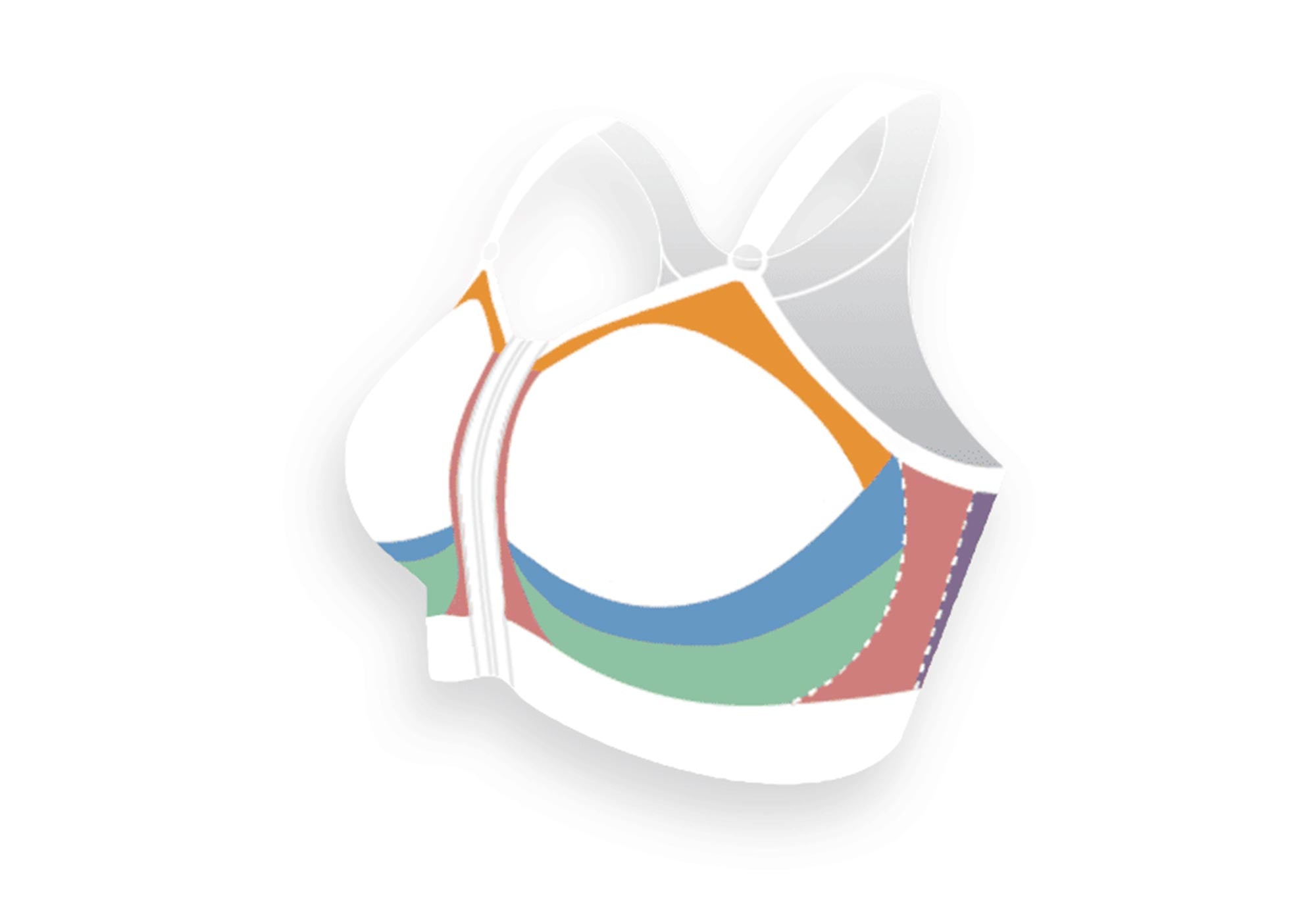 Illustration of compression zones of a post surgery bra