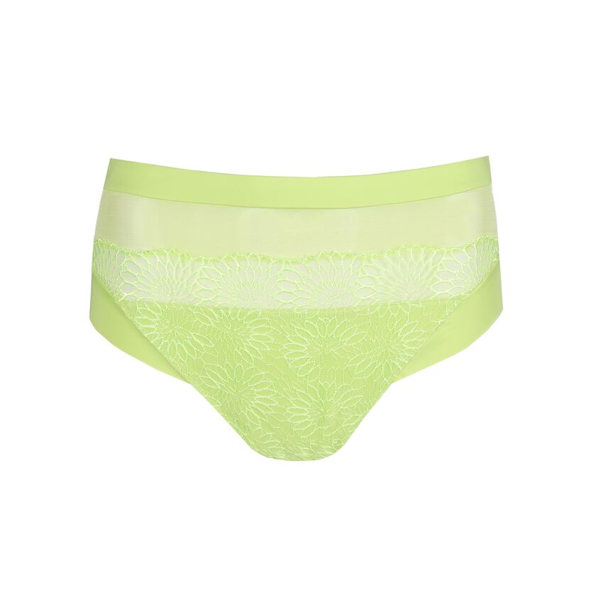 Sophora Full Brief