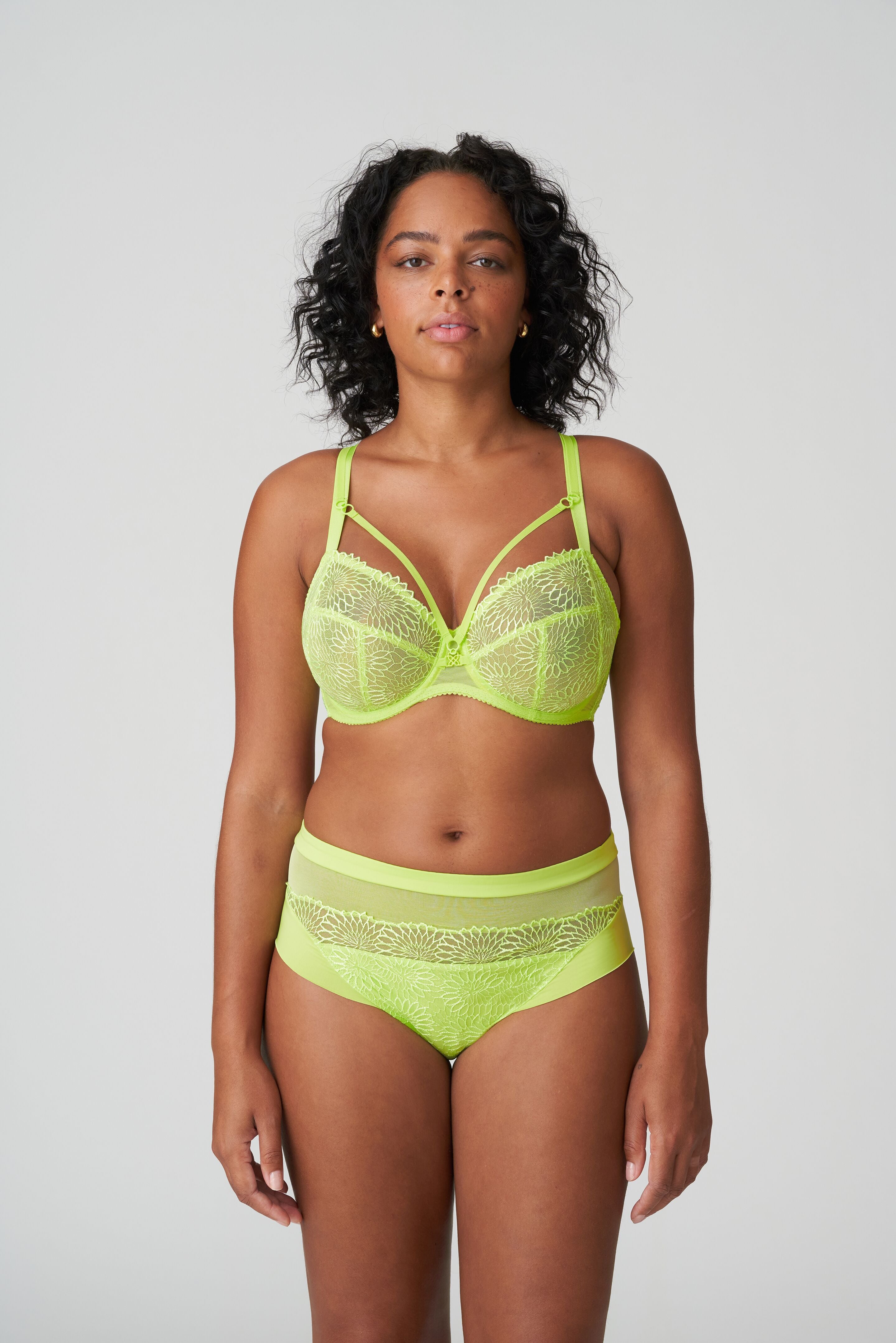Sophora Full Brief
