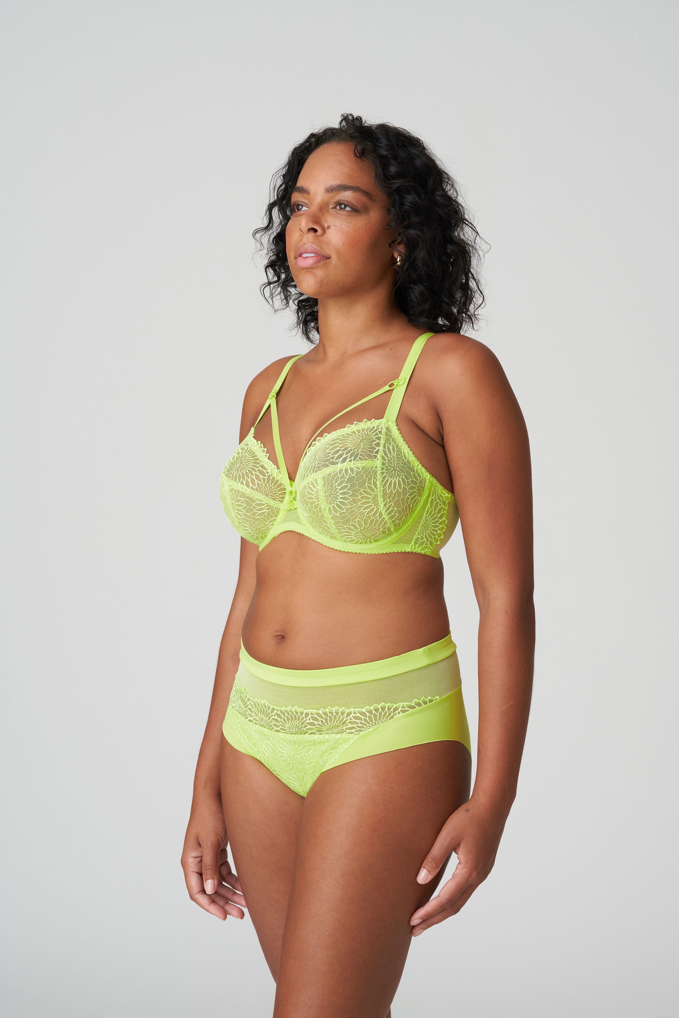 Sophora Full Brief