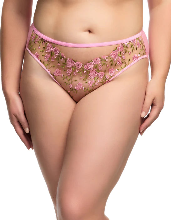 Rosewyn Hi Cut Brief
