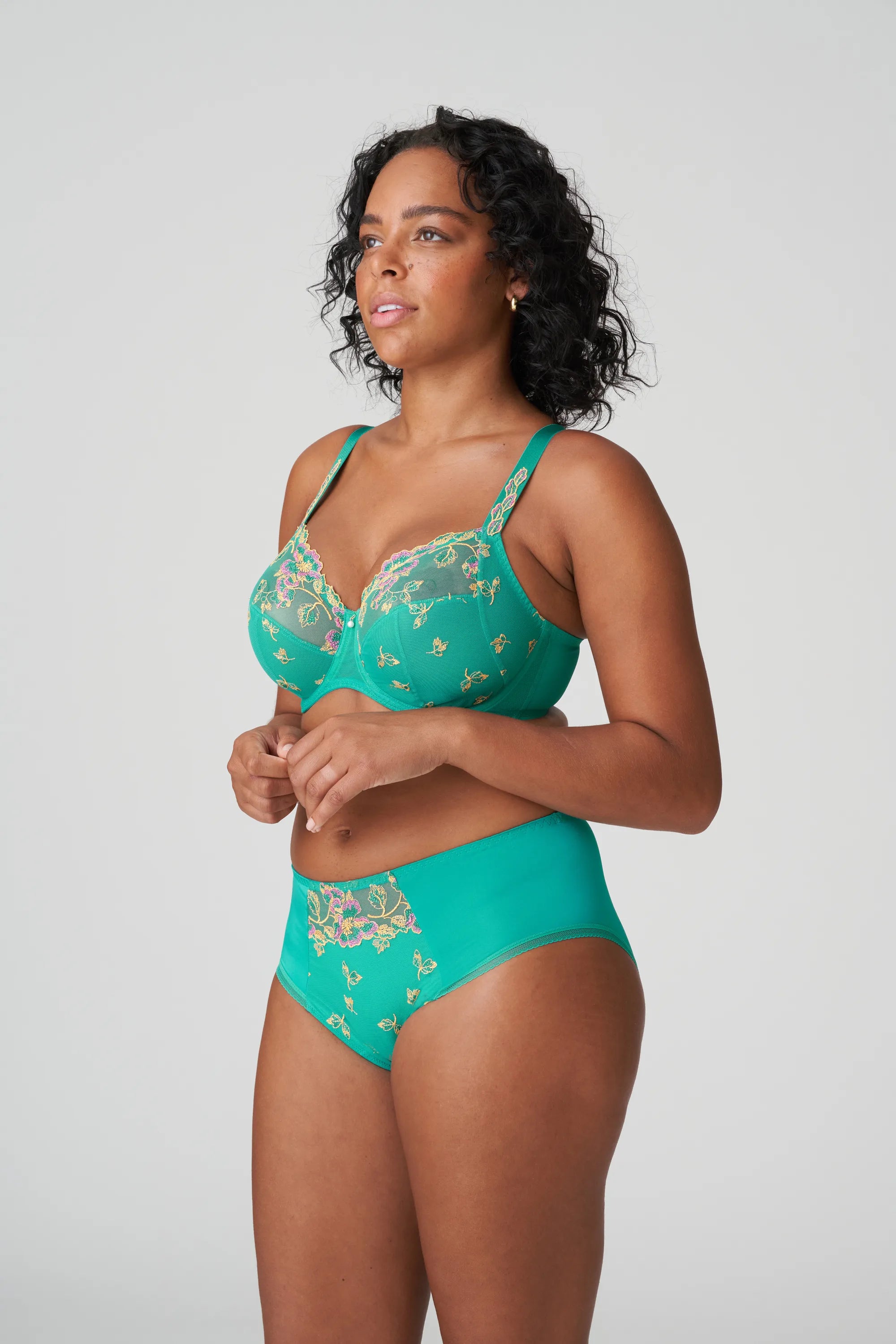 Lenca Full Brief