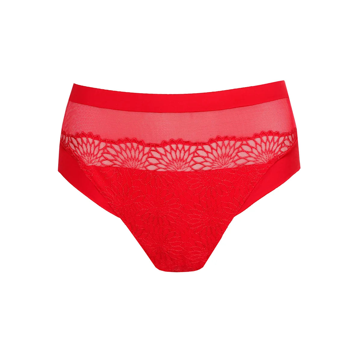 Sophora Full Brief
