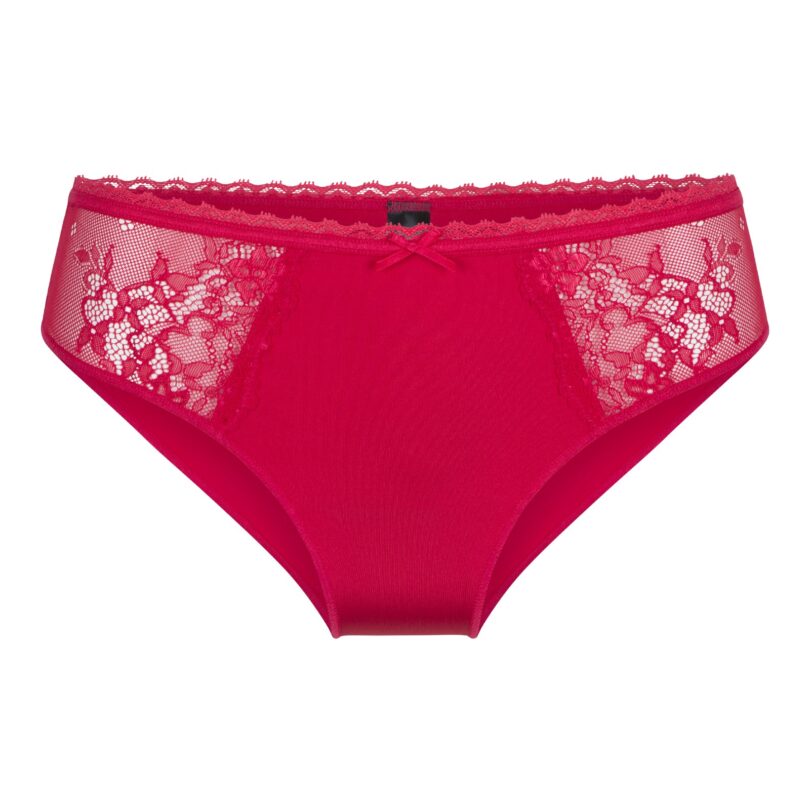 Daily Lace Brief