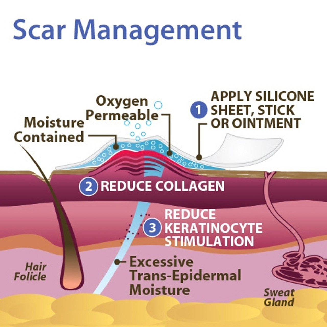 Epi-Derm Clear Gel Sheeting