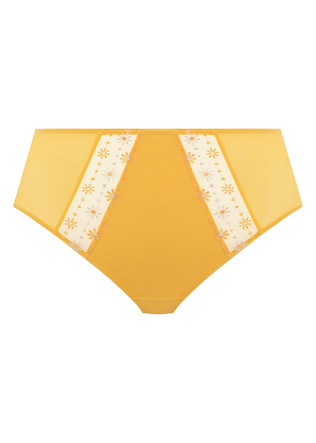Matilda Full Brief