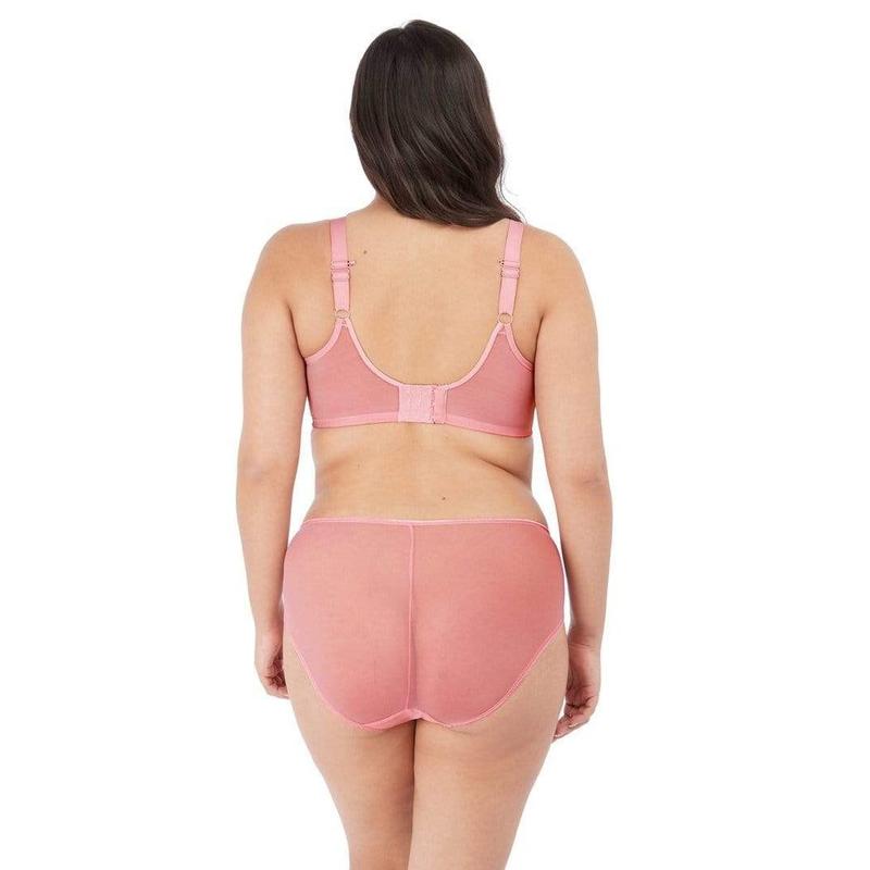 Elomi Bra Matilda from Illusions Lingerie in Melbourne