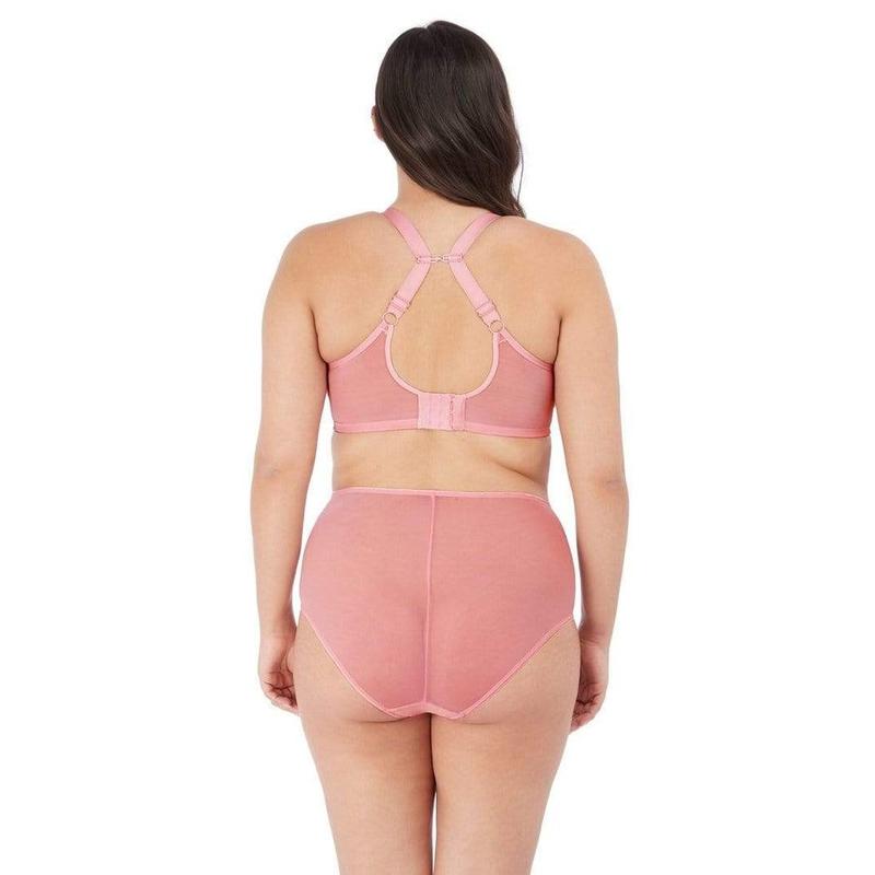 Elomi Bra Matilda from Illusions Lingerie in Melbourne