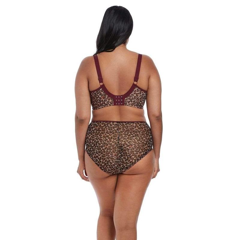 Elomi Sachi - Underwire Bra Available at Illusions Lingerie