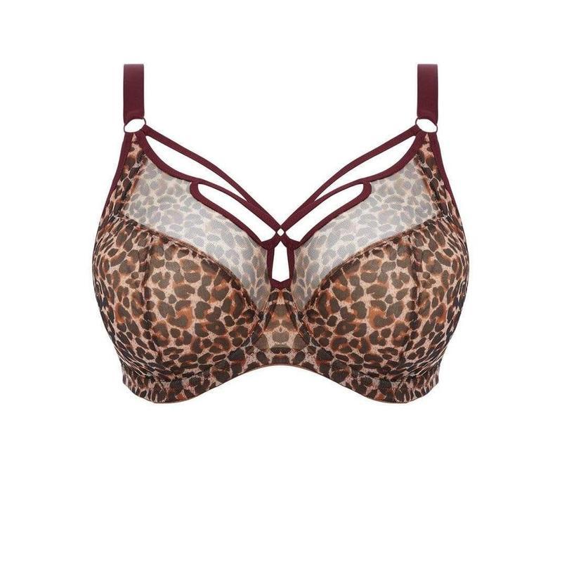 Elomi Sachi - Underwire Bra Available at Illusions Lingerie