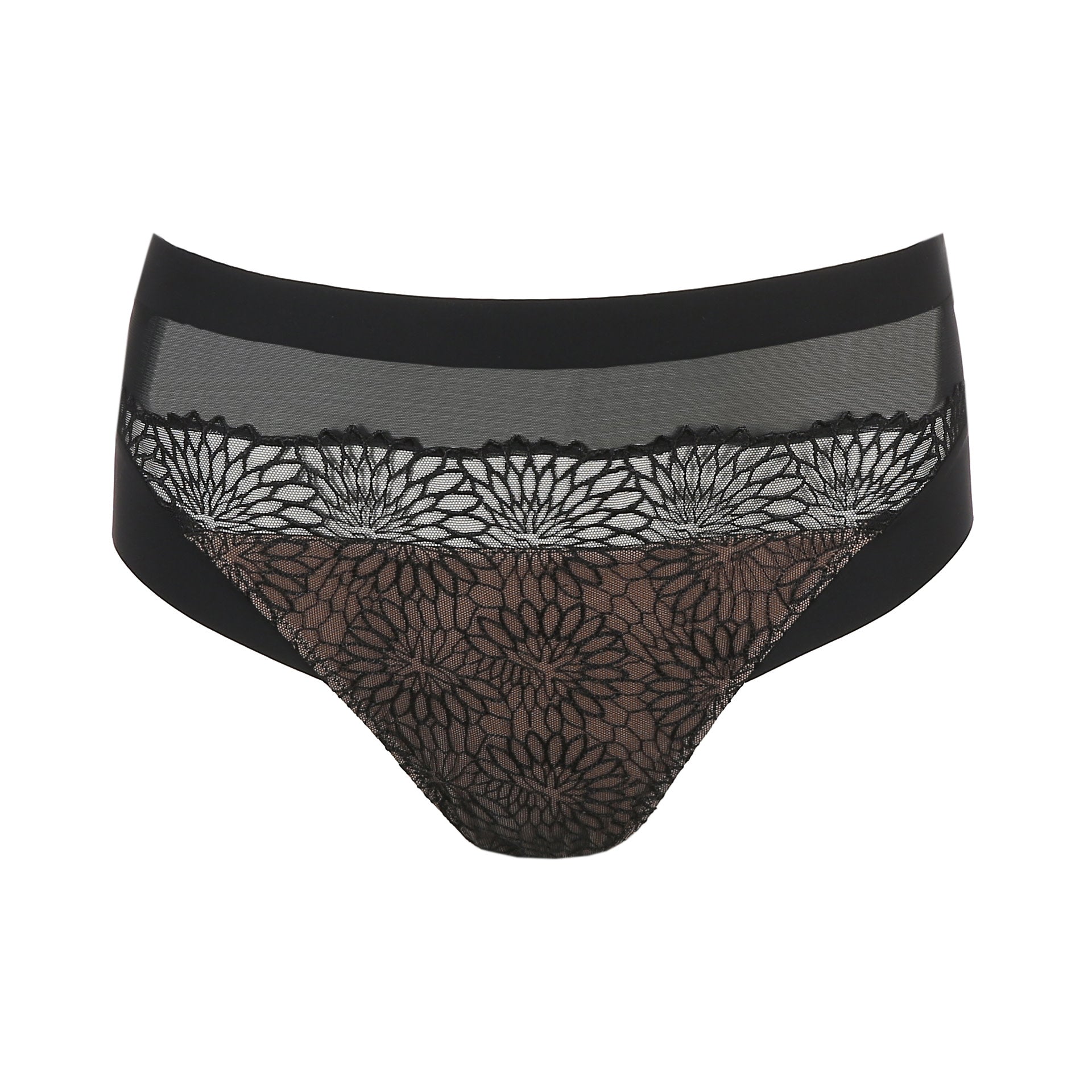 Sophora Full Brief
