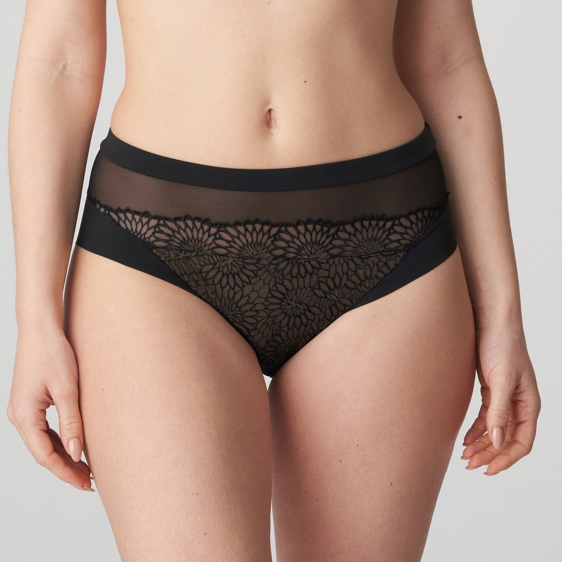 Sophora Full Brief