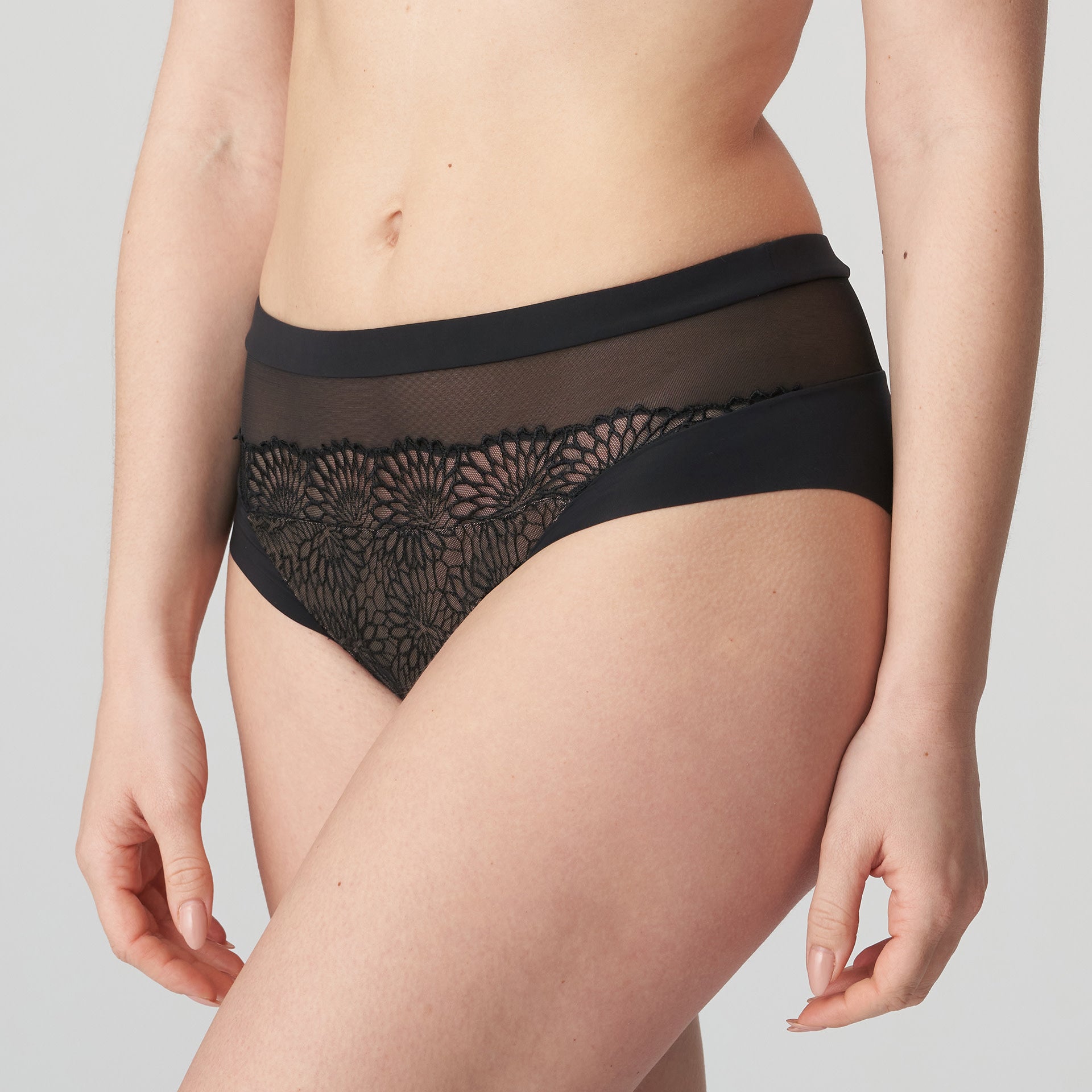 Sophora Full Brief