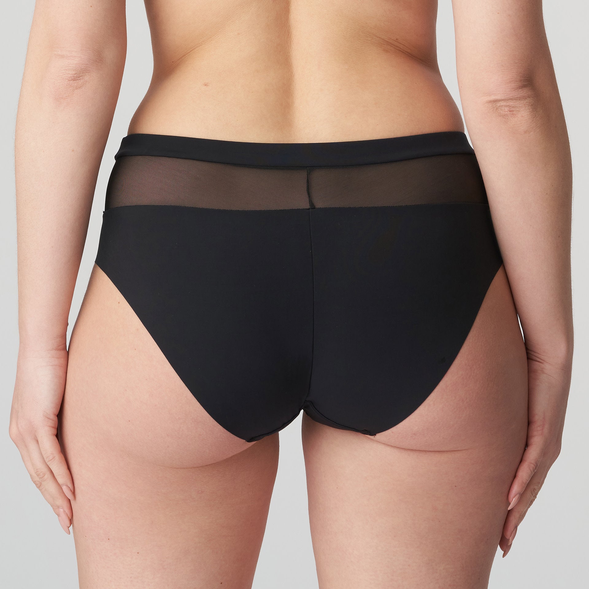 Sophora Full Brief