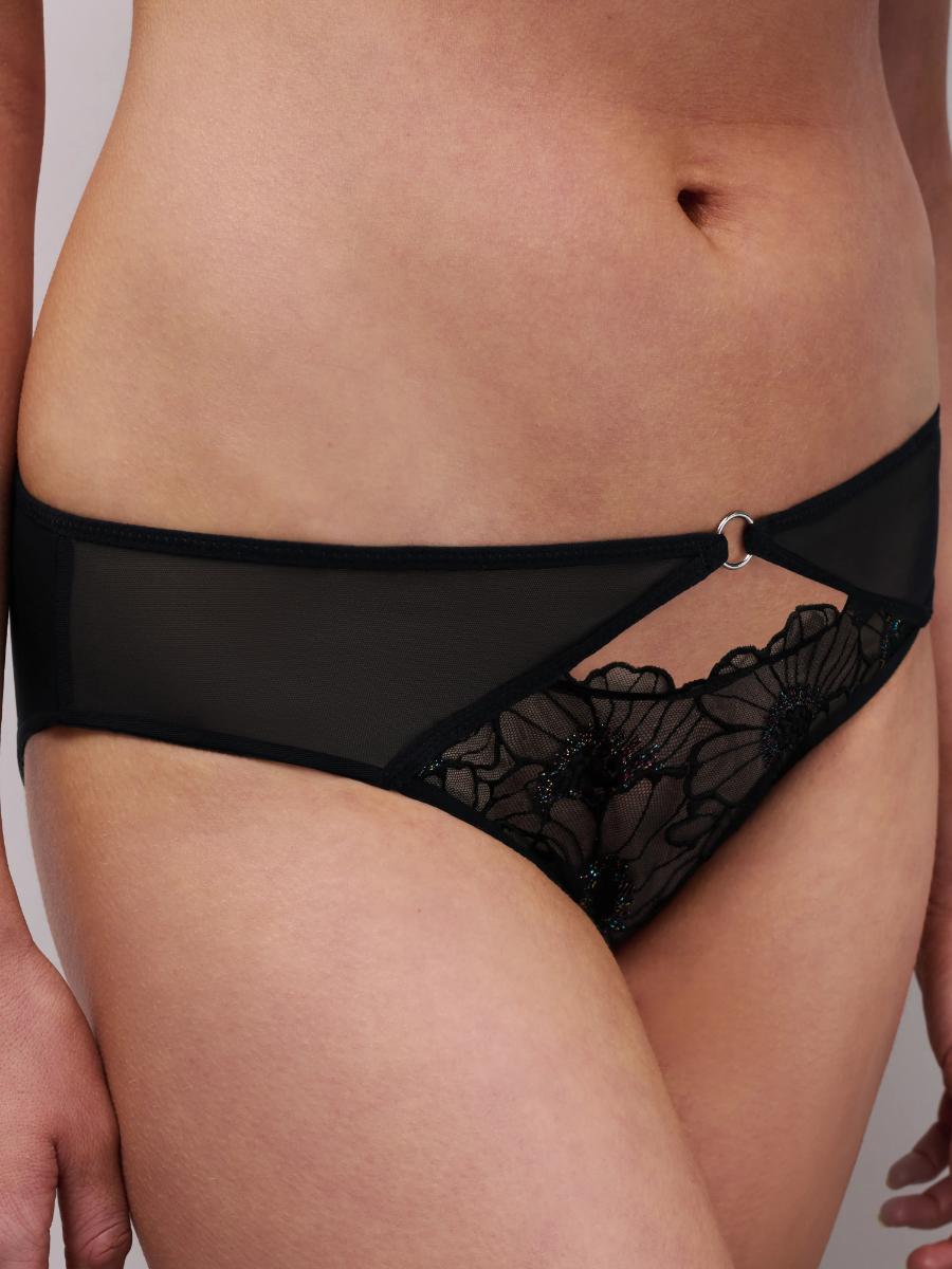 Lush Brief: black lace thong with sheer mesh panels and metallic ring