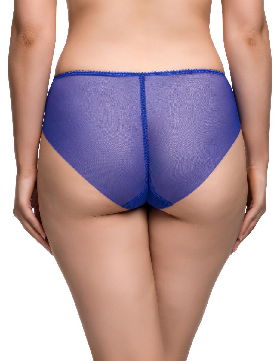 Harlow Hi Cut Brief in blue sheer mesh with solid waistband and back seam