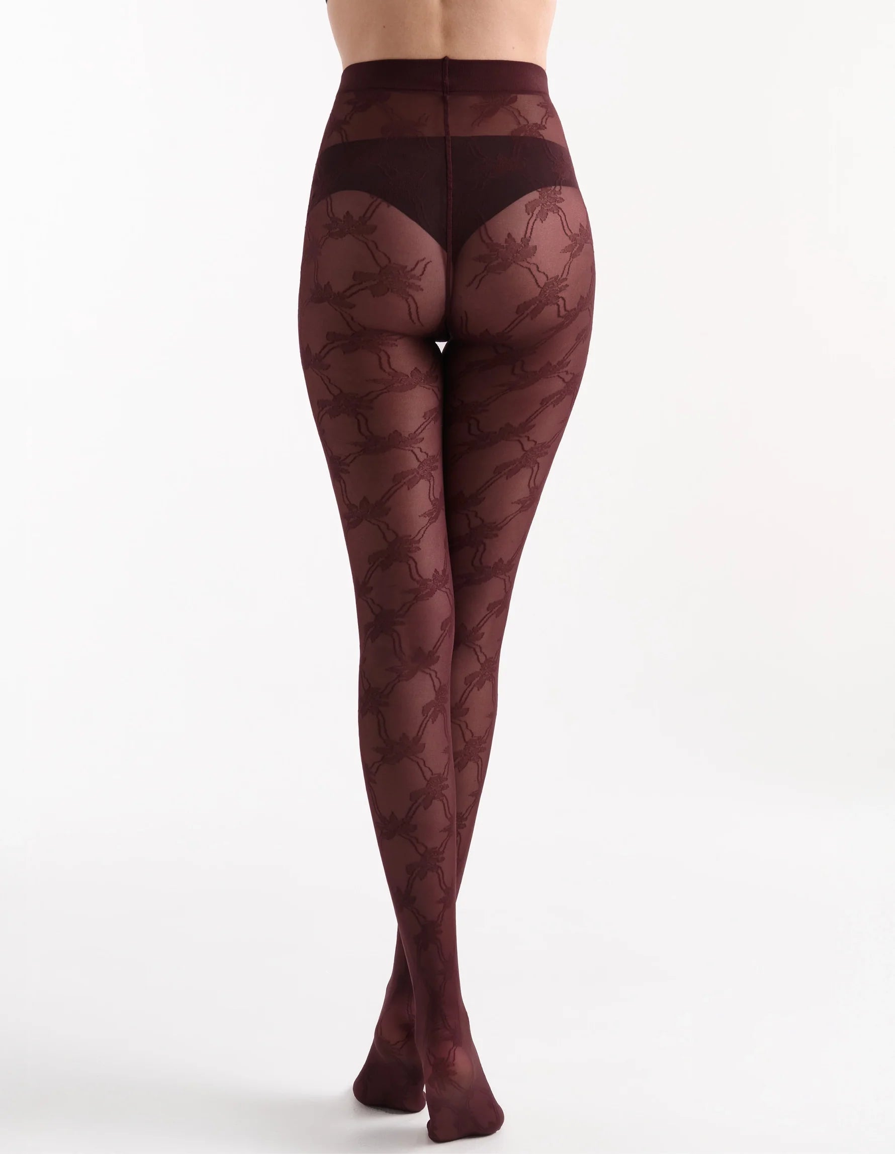 Annalisa Floral Tight maroon lace-patterned sheer high-waisted tights