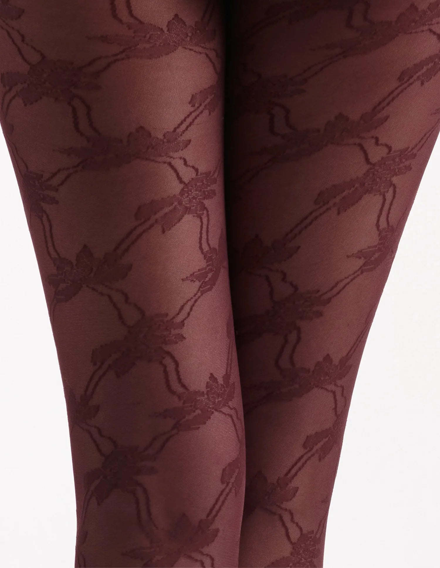 Annalisa Floral Tight maroon sheer tights with intricate floral lace pattern