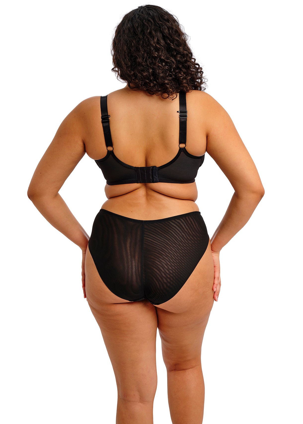 Reja Brief