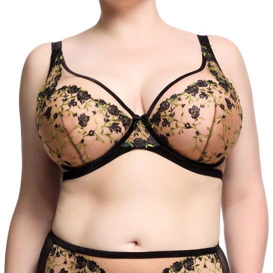 Rosewyn Full Figure Bra