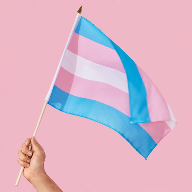 Transgender flag on pink background