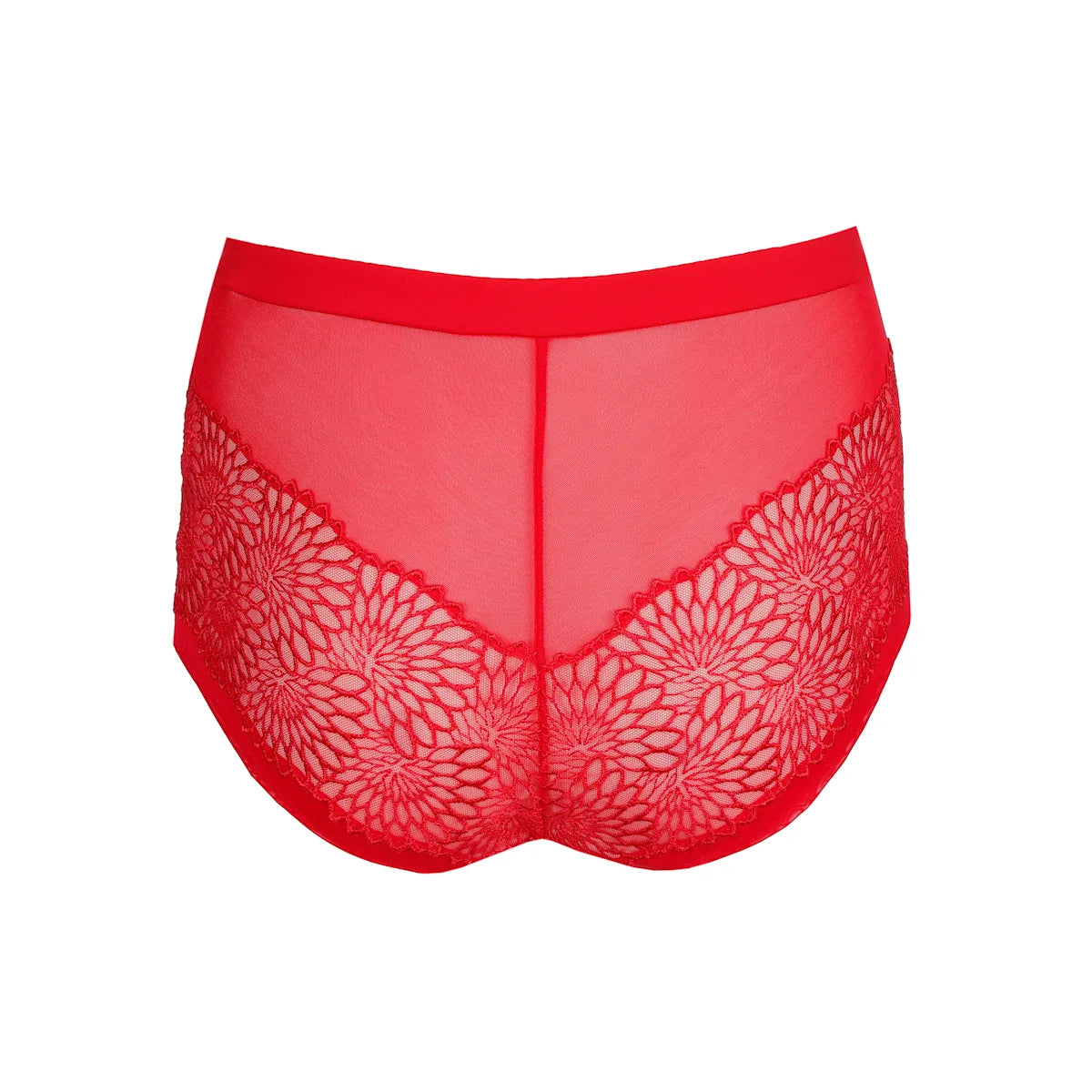 Sophora Hot Pant