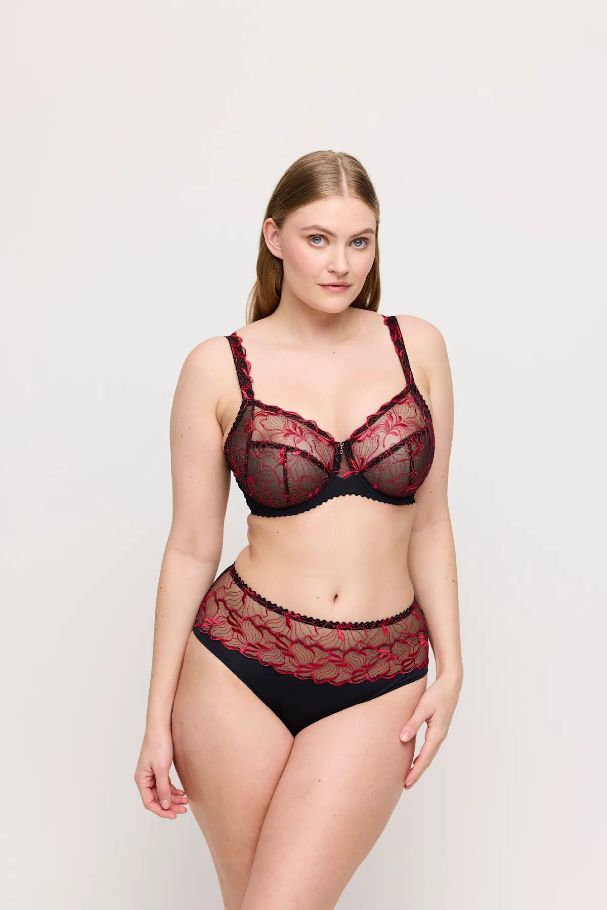 Springdale Full Brief