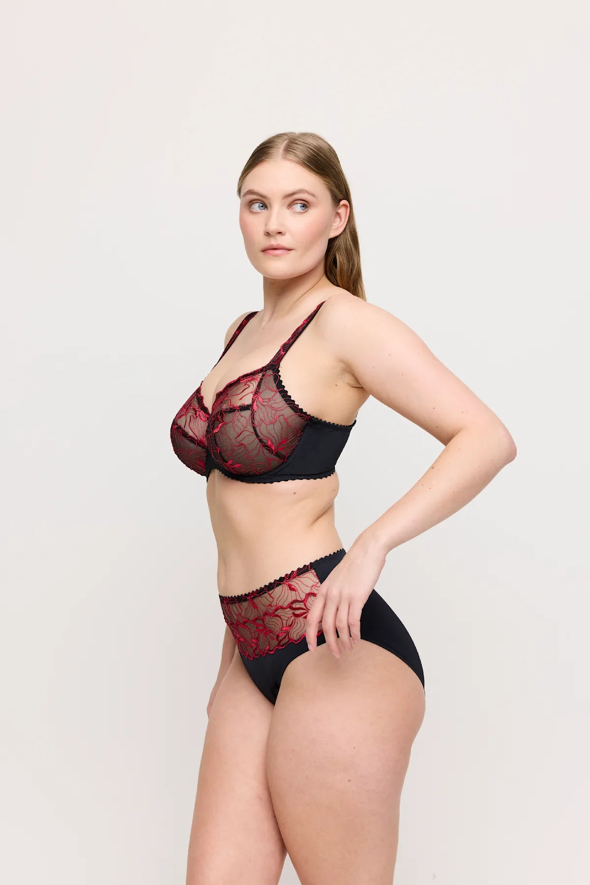 Springdale Full Brief