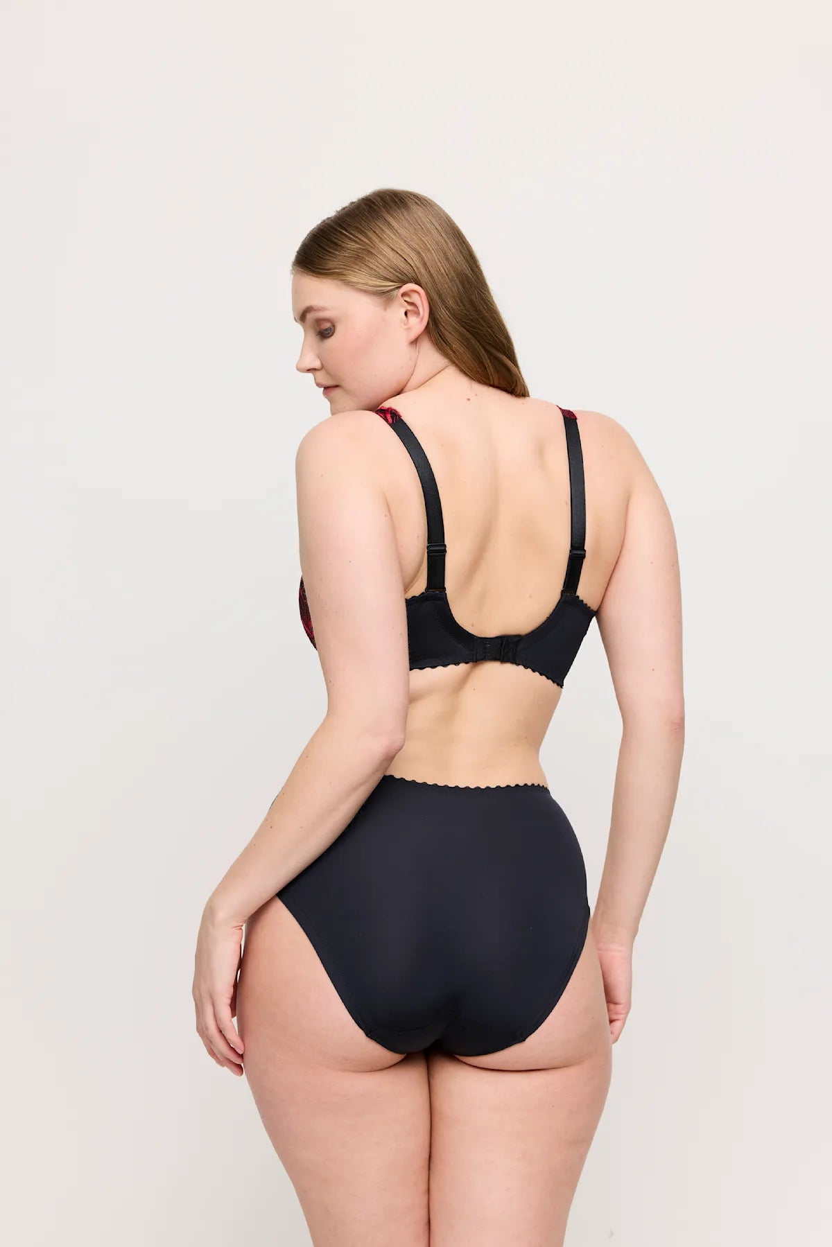 Springdale Full Brief