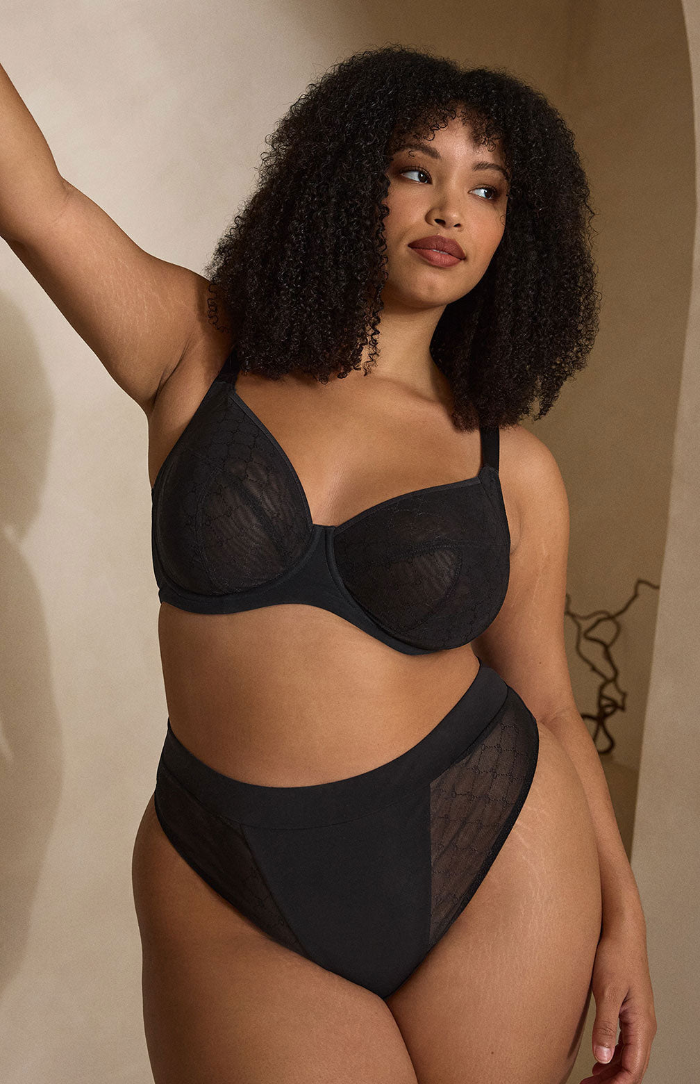 Black sheer mesh muse plunge bra and matching high-waisted briefs set with delicate see-through fabric
