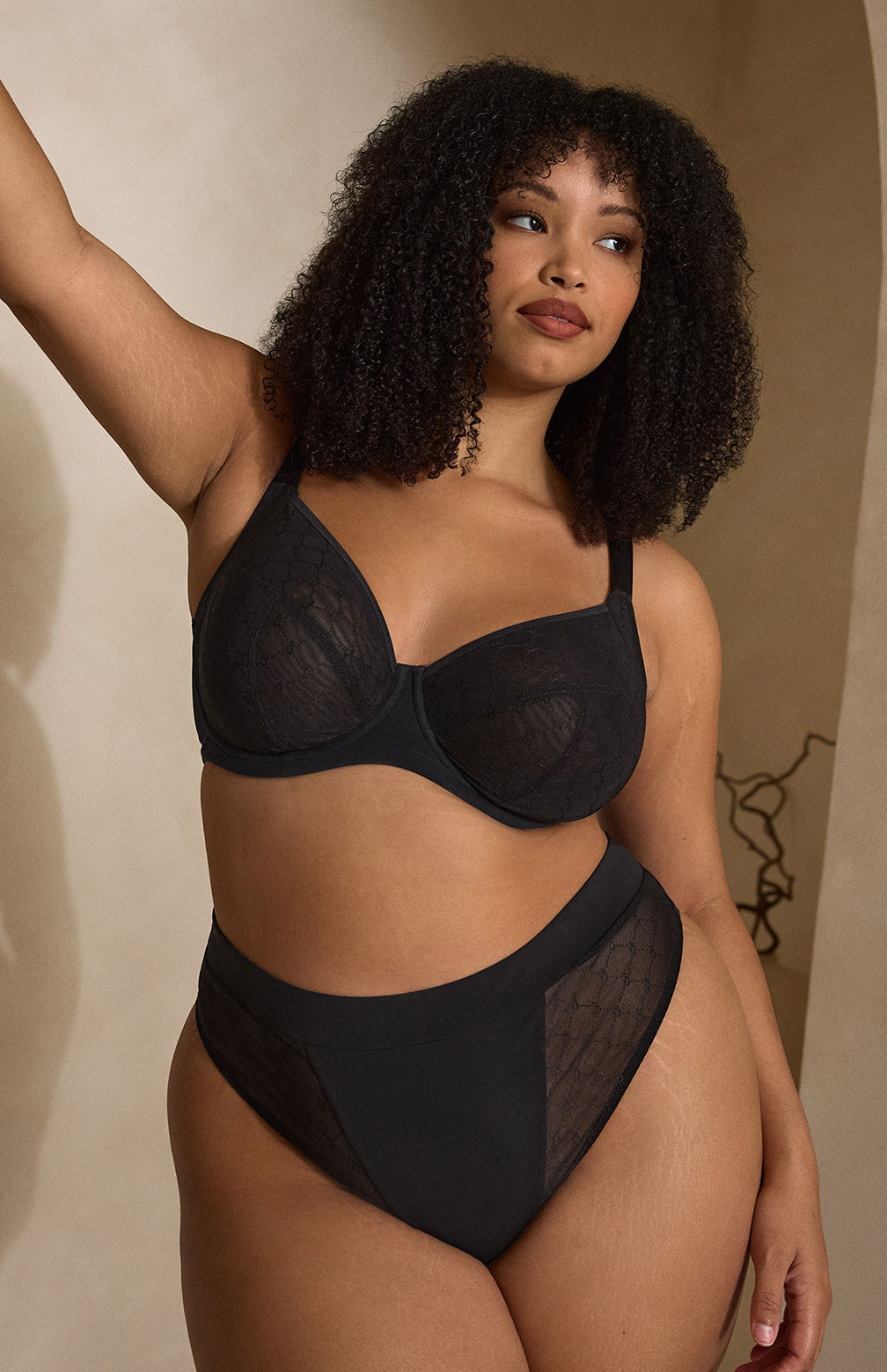Black sheer mesh muse plunge bra and matching high-waisted briefs set with delicate see-through fabric details