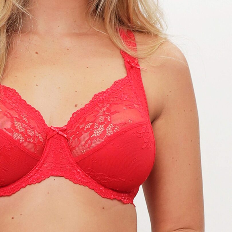 Daily Full Coverage Lace Bra