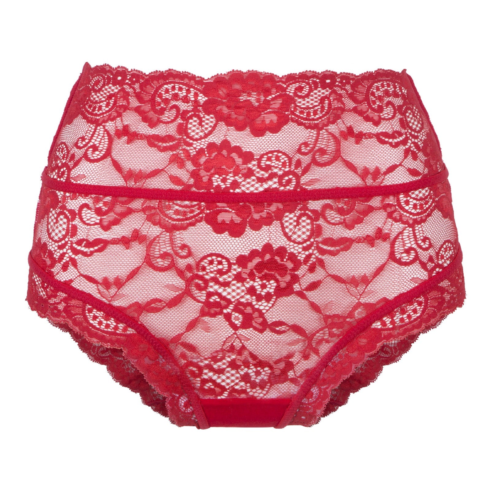 Daily Full Lace High Waist Brief