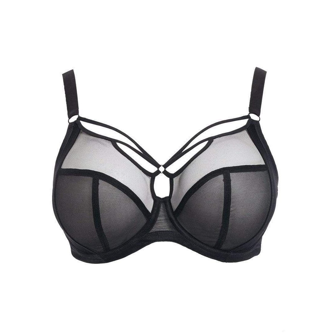 Elomi Sachi - Underwire Bra  Available at Illusions Lingerie